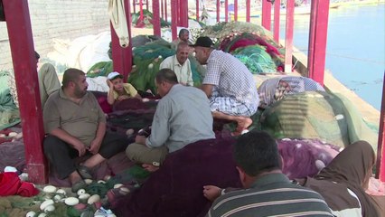 A Gaza, les poissons aussi fuient la guerre