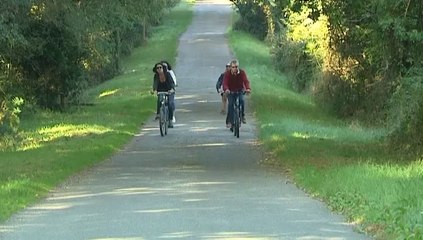 Expérience bretonne : balade à vélo dans les marais salants (Morbihan)