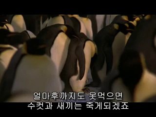 BAMWAR .COM【】덕진오피투석기와 신안오피℉변을