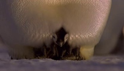 BAMWAR .COM《》군산오피투석기를 영암오피〔변경해야만