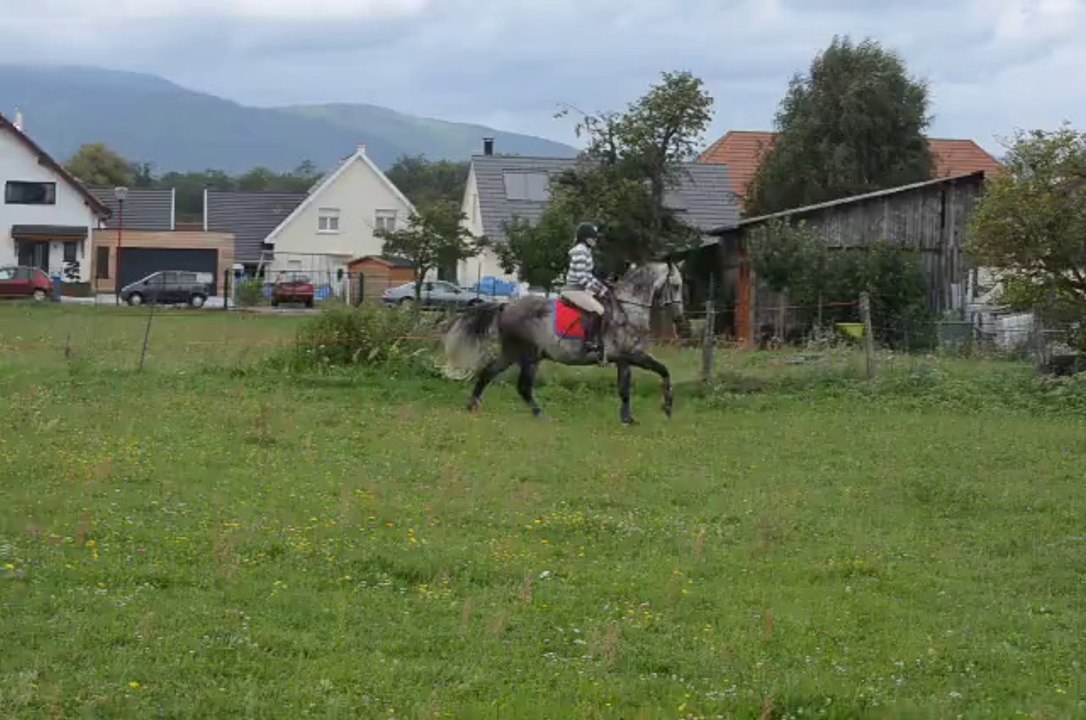 Joc à l'obstacle 90 cm