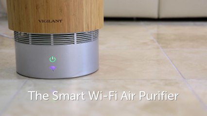 Leaf, the first smart Wi-Fi Air Purifier