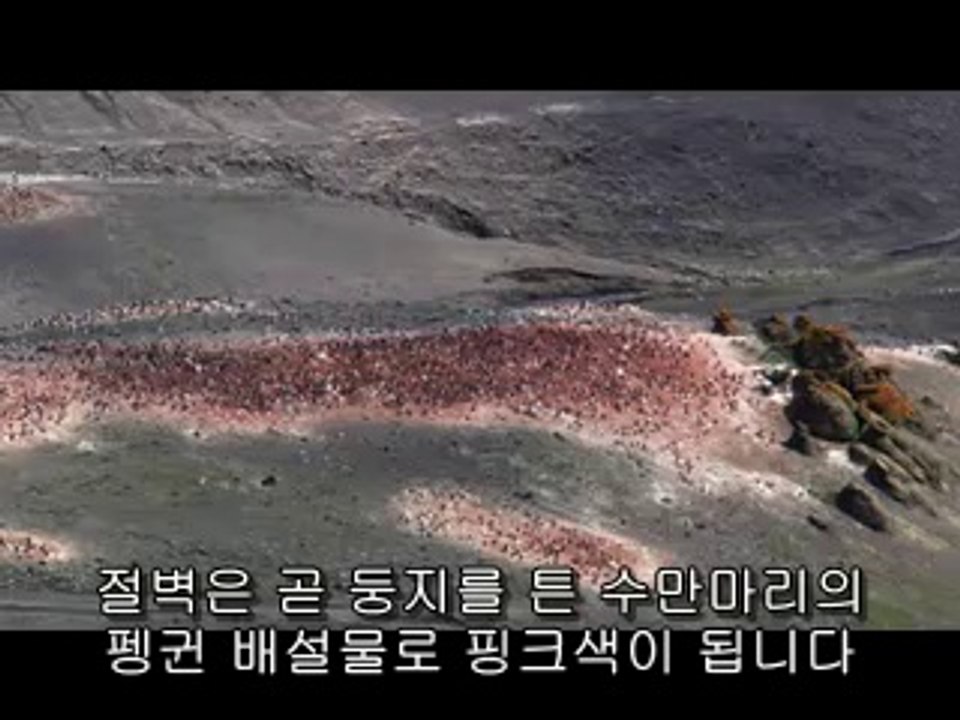 BAMWAR .COM《》영광오피테니까요 자갈치오피」벌컥벌컥