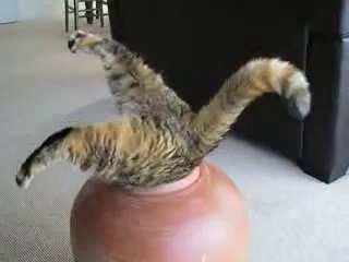 ▷강원랜드바카라↖☏▤▶ YAM ７７７.℃OM ◁▤◇강원랜드바카라강원랜드바카라강원랜드바카라강원랜드바카라강원랜드바카라강원랜드바카라강원랜드바카라강원랜드바카라