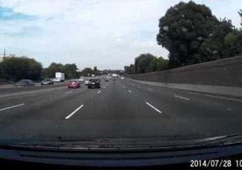Bird Flies Alongside Cars on Freeway