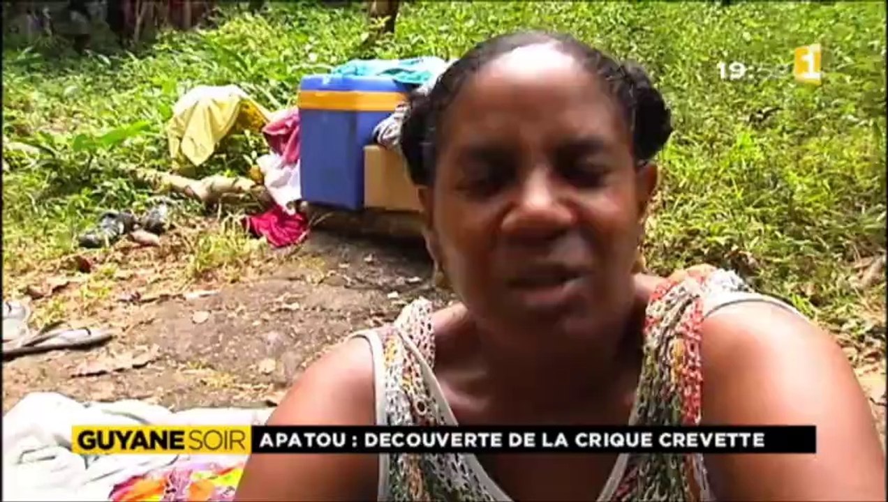 crique crevette