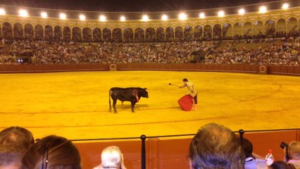 Novillada nocturna Sevilla 24/07/2014. Samuel Ortiz, Juan De Dios y Rafael Serna.