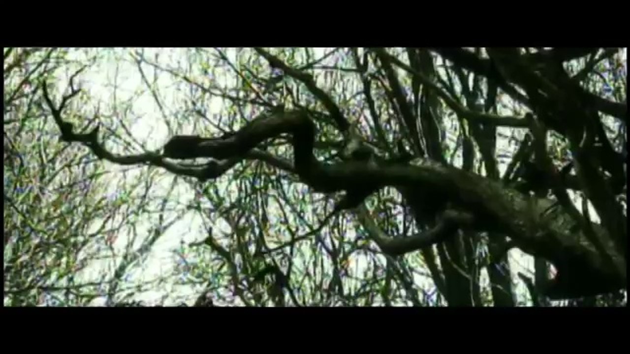 Eminem - You Don't Know ft. 50 Cent, Cashis, Lloyd Banks