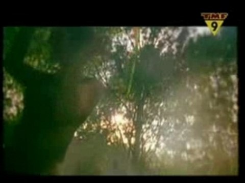 Armin Van Buuren ft. DJ Tiesto - Eternit