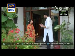 Babul Ki Duaen Leti Ja Ep - 51 - 14th August 2014
