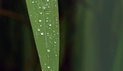 ㉰하단립카페༝일산립카페ປ경주립카페༉