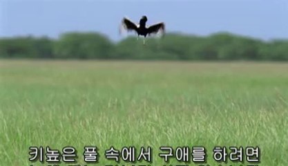 ㈄서초립카페༯강동립카페ທ전북립카페ຝ