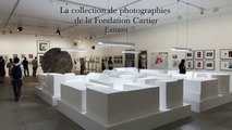 La collection de photographies de la Fondation Cartier - Extraits | Exposition Mémoires Vives, 2014