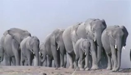 ㈀부천립카페ນ둔산립카페༟서대문립카페༙