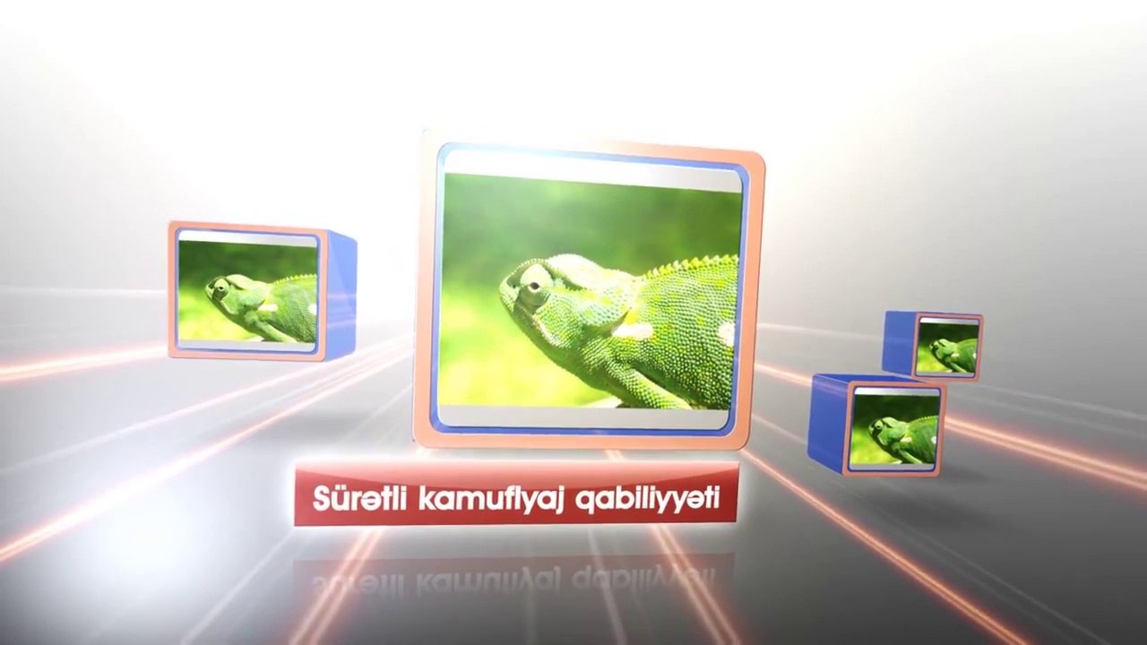 Texnologiya təbiəti təqlid edir - Buqələmunlar və rəngi istəyə görə dəyişən paltarlar