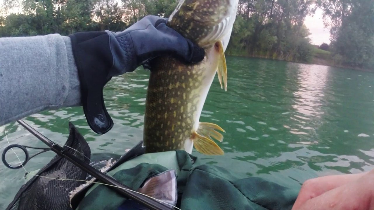 Attaque brochet en live sur cuillère