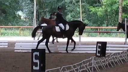 Romantika Dressage Pro 2 - Brazey 25-07-14