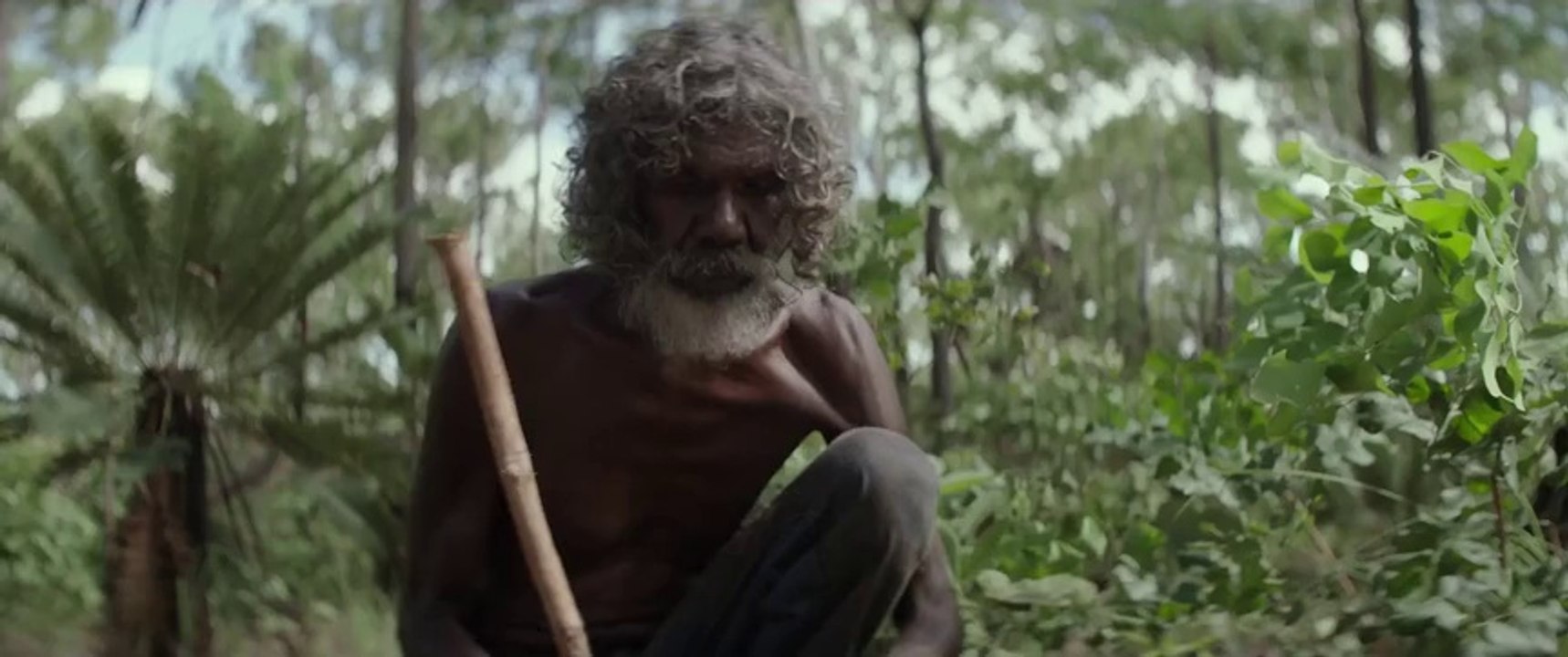 Charlie's Country (2014) Feature Trailer