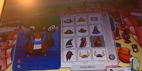 PlayerUp.com - Buy Sell Accounts - Free club penguin member account November 2013