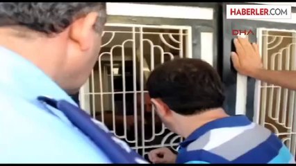 Evden Çıkarılınca Cinnet Getirdi