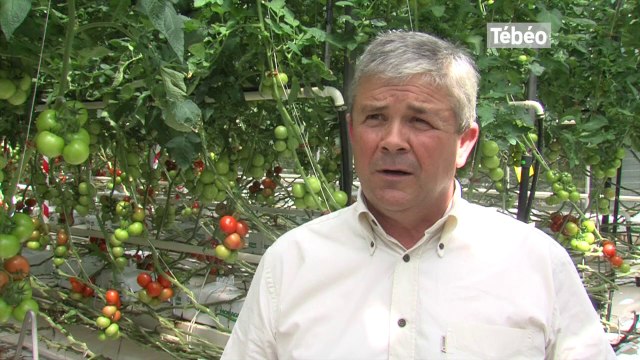 Embargo russe. Les agriculteurs bretons victimes d'enjeux géopolitiques