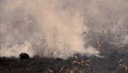 ㈄동해립카페௱종각립카페༸일산립카페༲