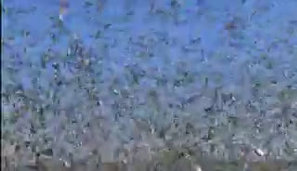 ㉭구청립카페༑성북립카페༃서울립카페༽