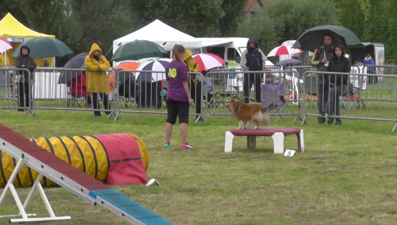 TROPHEE 2014 PRINCESSE M3