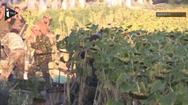 Guerre de l'humanitaire dans l'Est de l'Ukraine