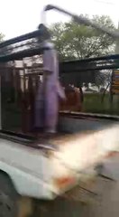 VID-20140814-WA0006.mp4